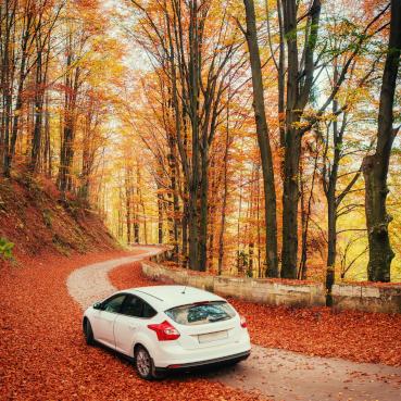 Book Your Next Car in Minutes — Anywhere in the World